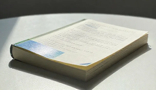 行业定制服务选型关注点与限制分析